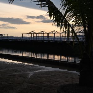 Limited edition prints