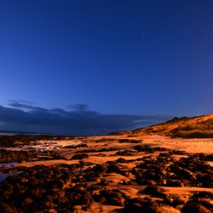 Guardian of the night